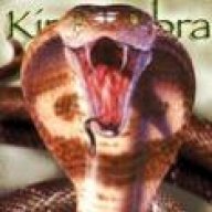 King cobra